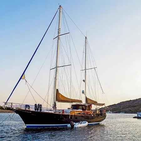 Luxury Boat In Marina *