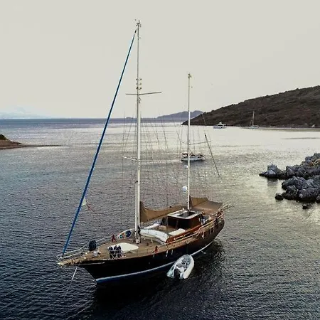 Luxury Boat In Marina بودروم