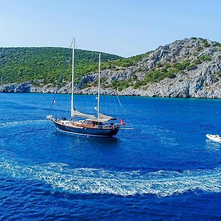 Luxury Boat In Marina بوتيل