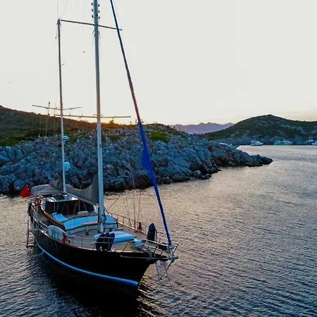 Luxury Boat In Marina *